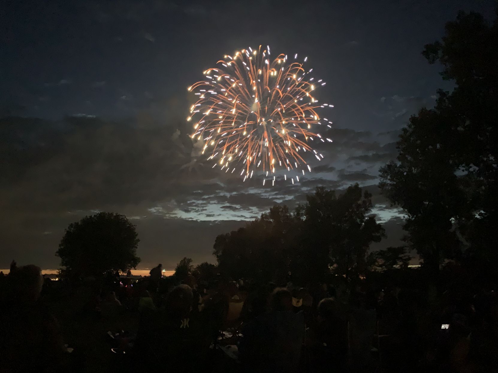 Town of Delavan 2021 fireworks